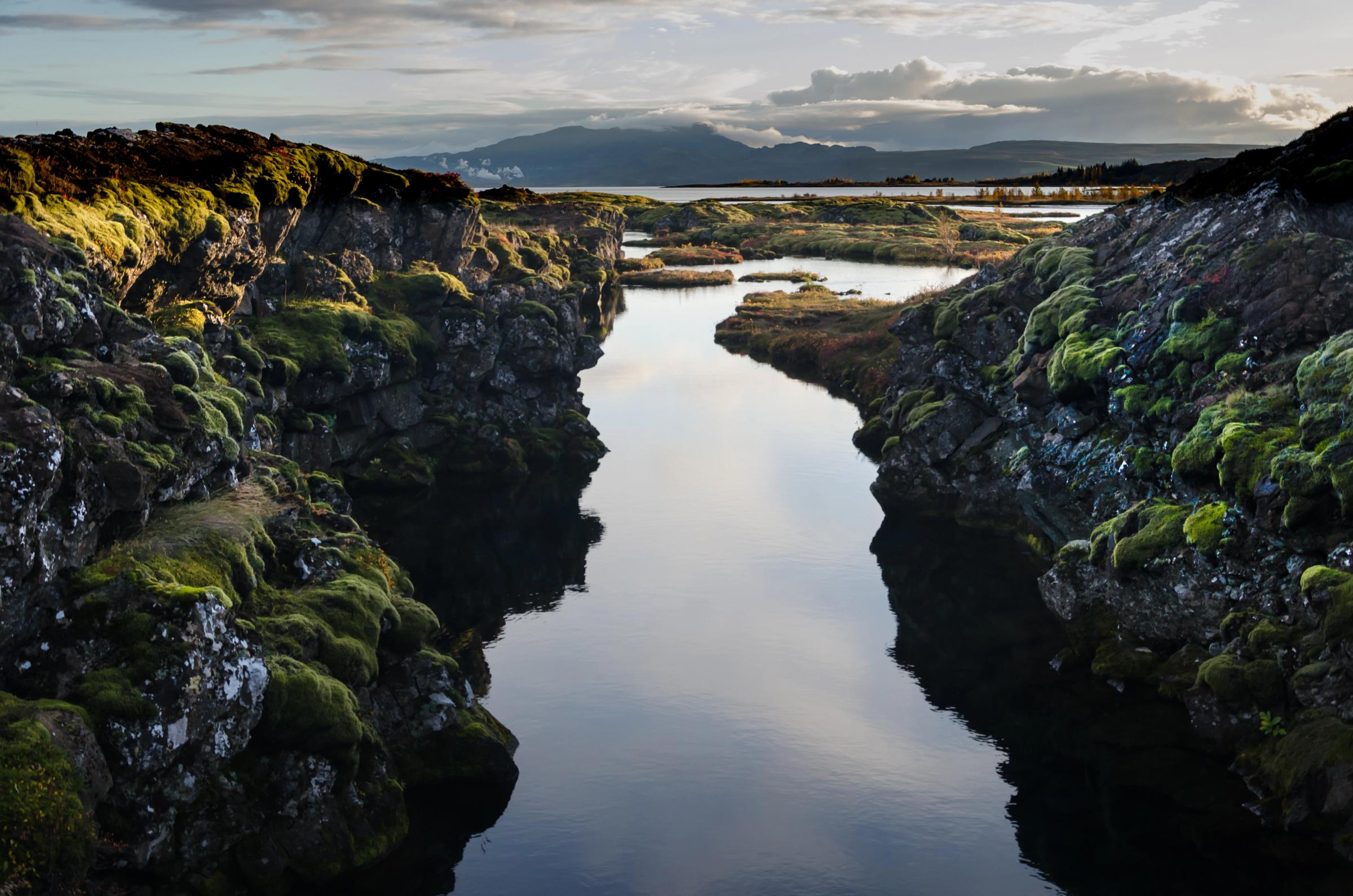 un río rodeado de rocas y musgo con montañas al fondo .