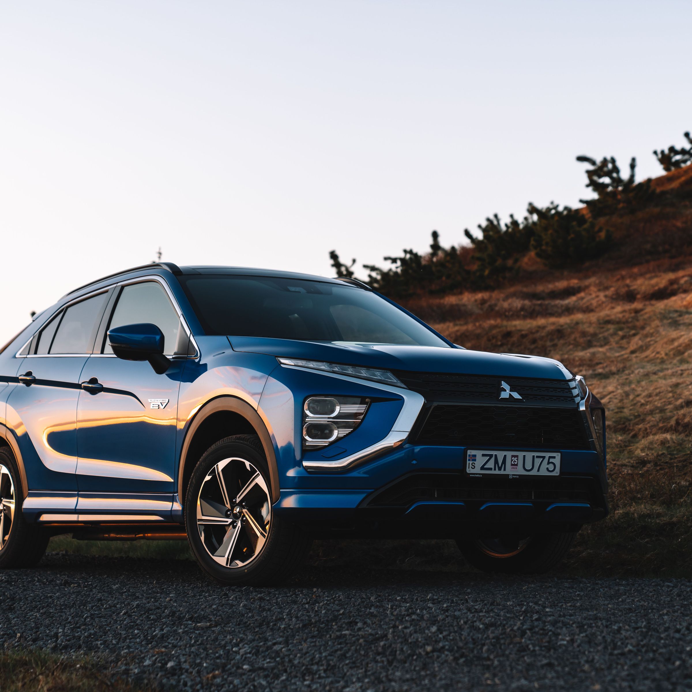 Blue car in nature
