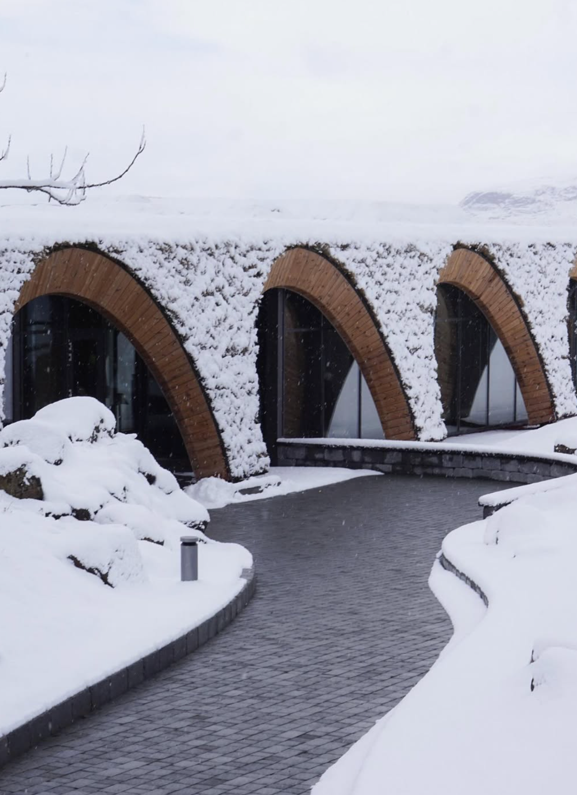 Un edificio moderno con un tejado verde cubierto de nieve y ventanas de madera arqueadas, bordeado por un sinuoso camino pavimentado en pleno invierno.