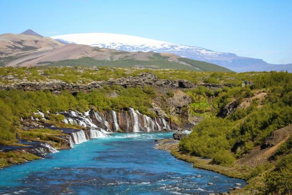 a river flowing through a lush green forest with mountains in the background .