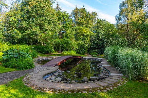 Un exuberante jardín con un estanque, un puente de madera y senderos de piedra serpenteantes.
