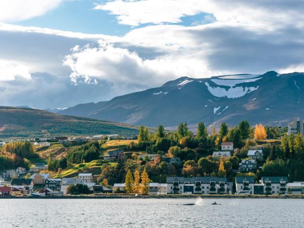 a costal village with autumn colors