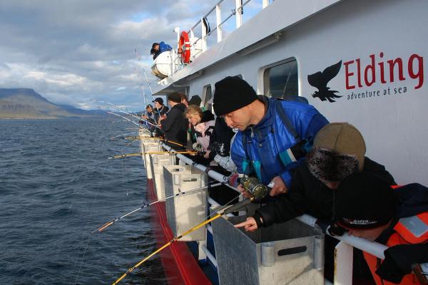 fishing group, with Elding Adventure at Sea a group of people went out to sea to fish, excursion in Iceland