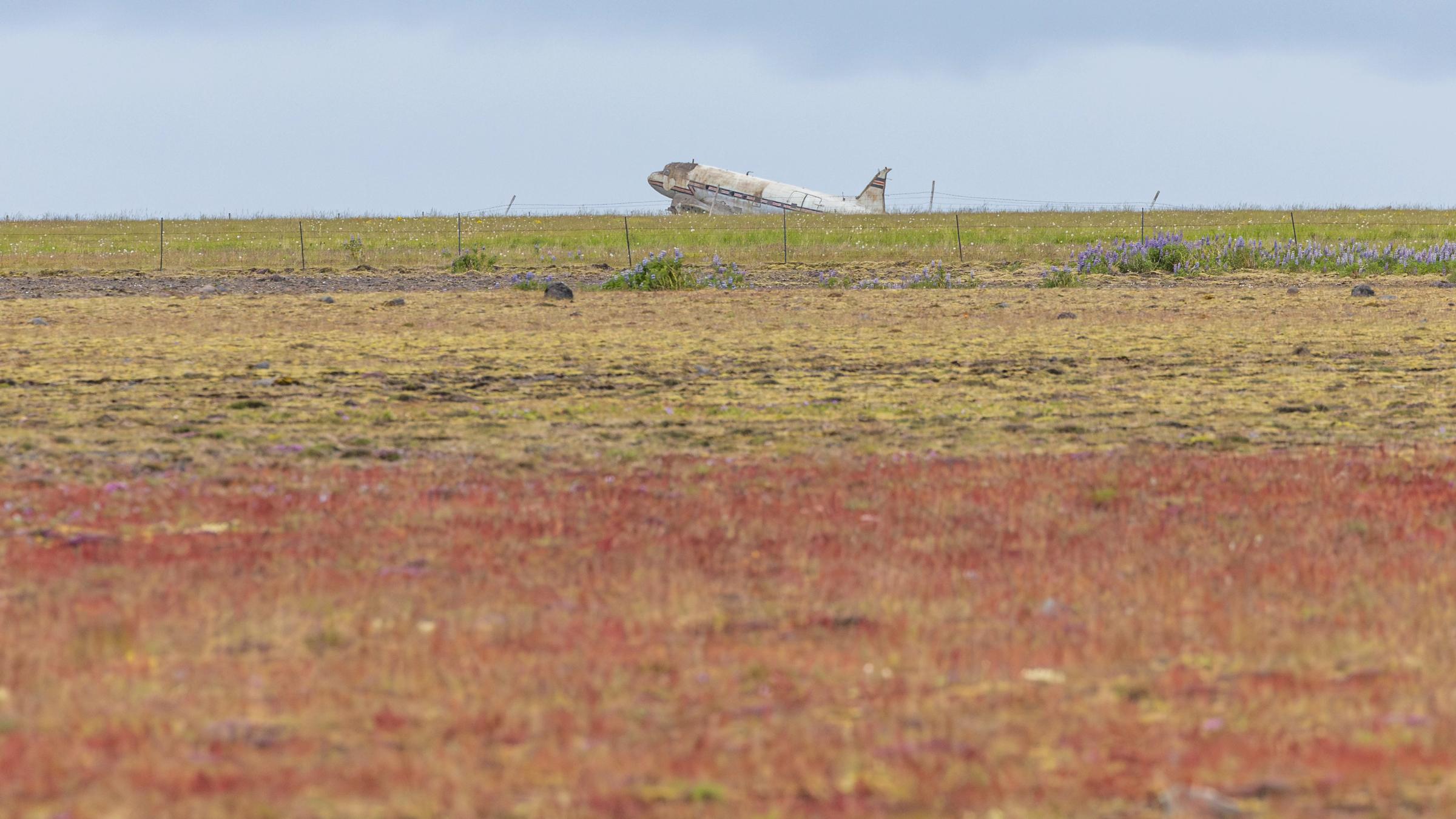 Abandoned plane wreck in a wide field.