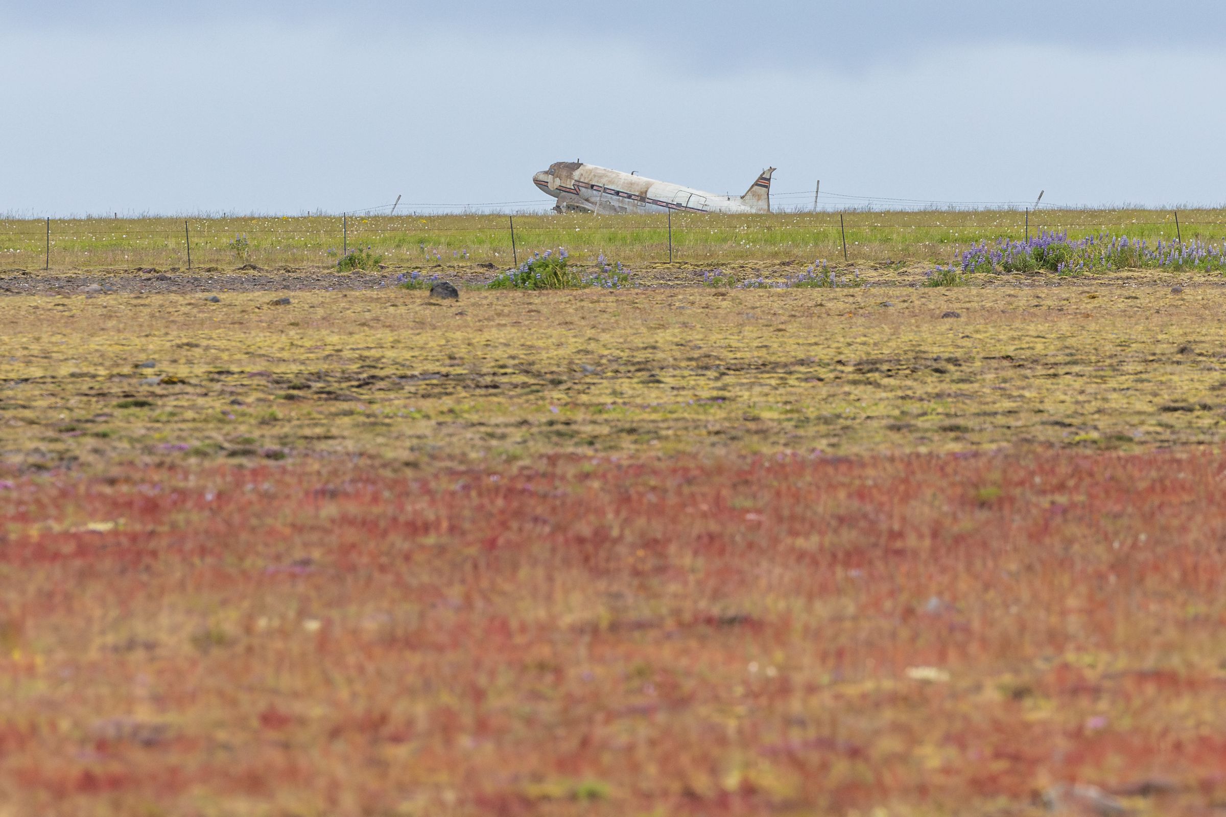 Abandoned plane wreck in a wide field.