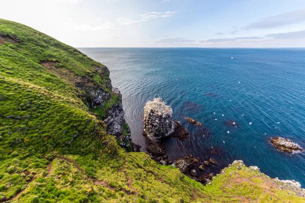 a cliff overlooking the ocean with a large rock in the middle of it .