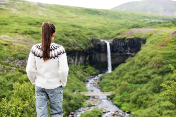Mujer admirando la cascada Svartifoss desde la lejanía
