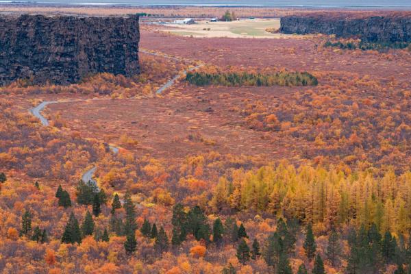 El cañón de Ásbyrgi Canyon en otoño