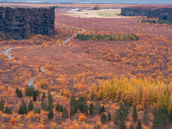 Asbyrgi canyon and road on autumn in Northern Iceland