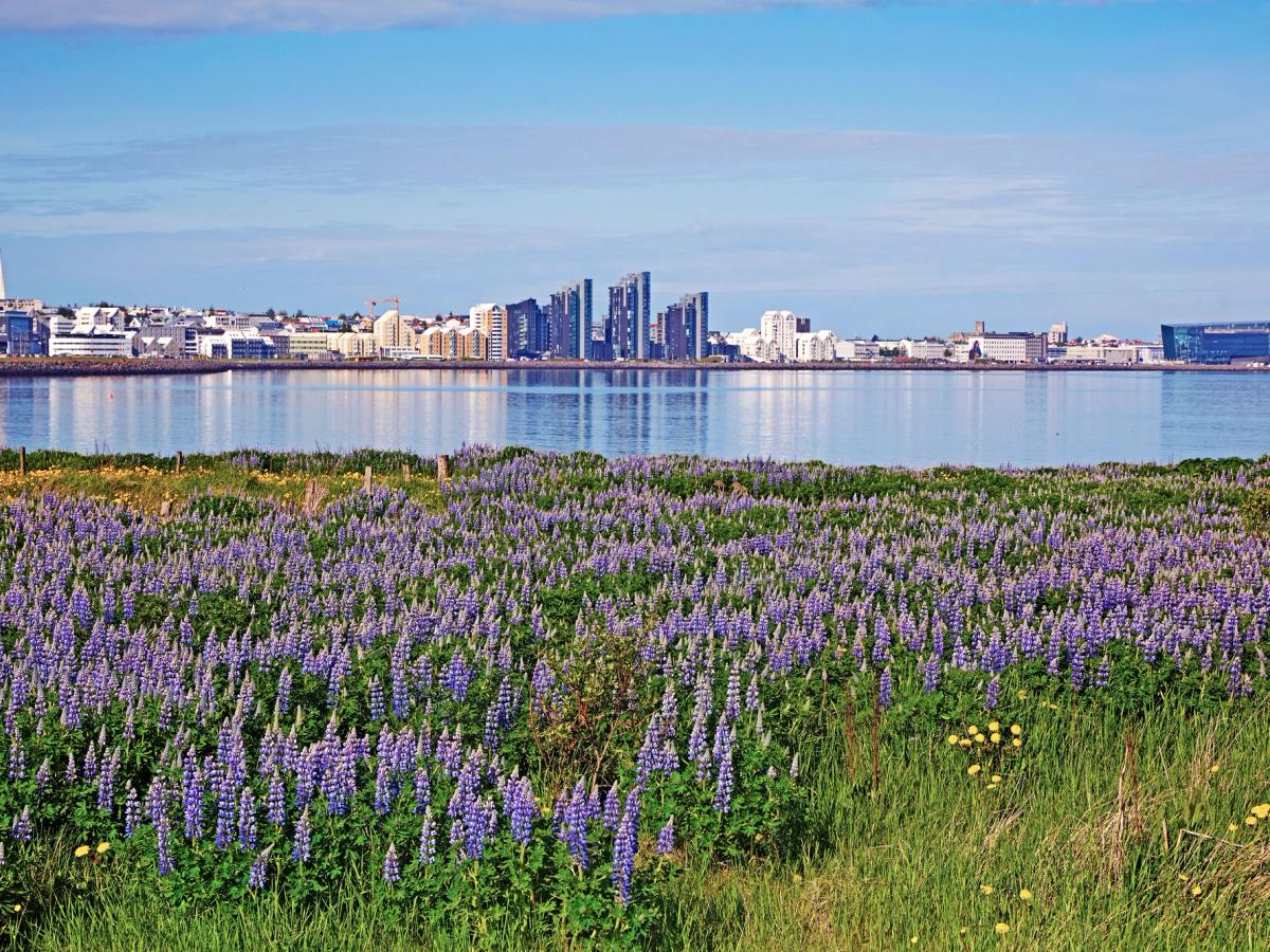 Reykjavik Weather Guide What To Expect In Iceland s Capital reykjavik-weather-guide-what-to-expect-in-iceland-s-capital