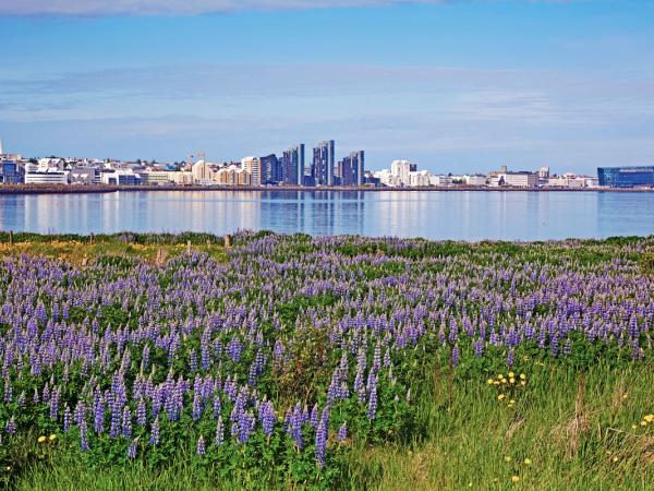 Reykjavik in Spring
