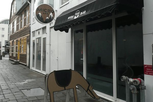 a cardboard horse is standing in front of a building at micro bar in reykjavík iceland.