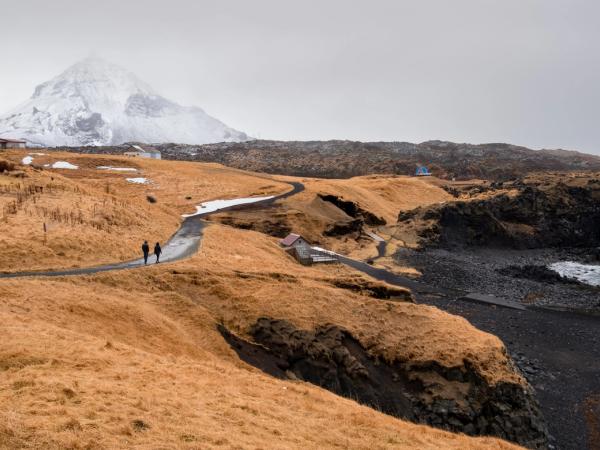 Two people walk along a winding path through golden grass towards a dark volcanic coast, with a snowy mountain in the background.