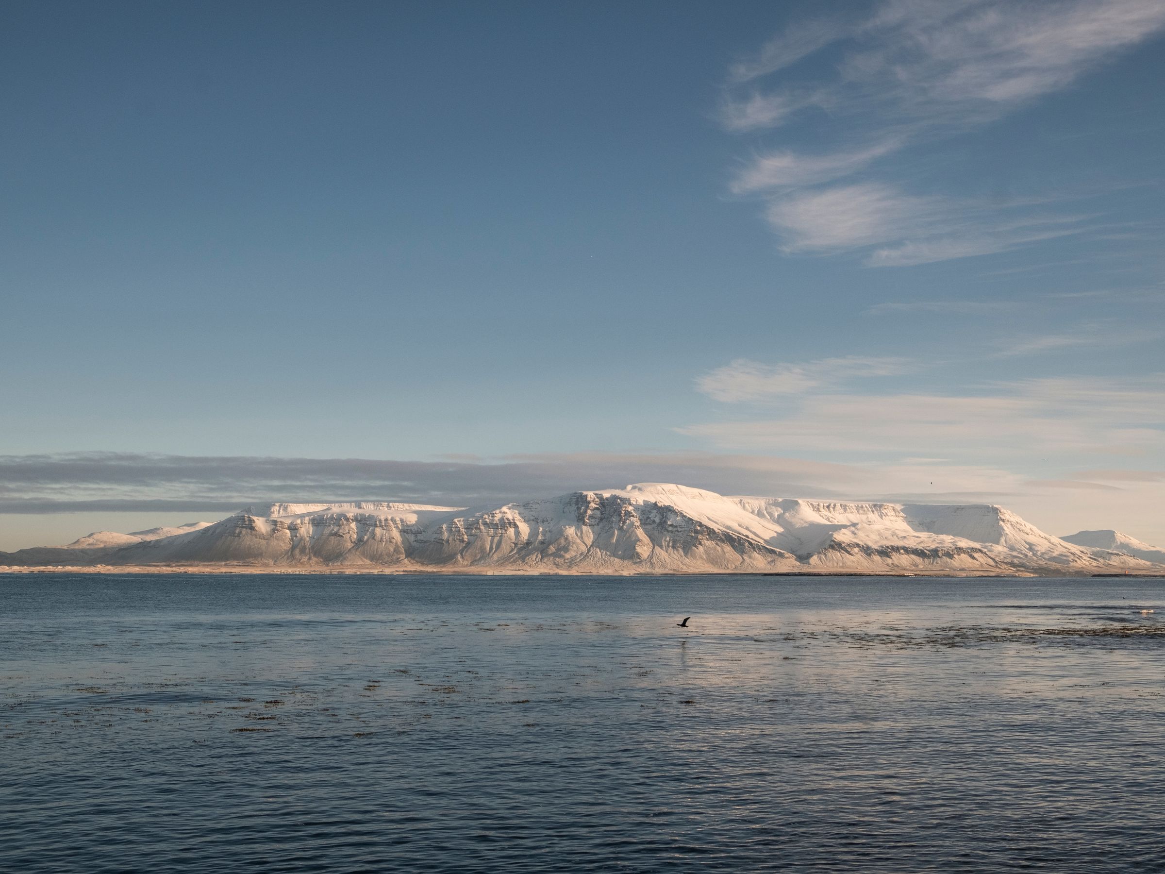 panoramic view of a snowed Akurey island
