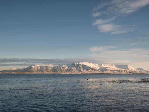 panoramic view of a snowed Akurey island