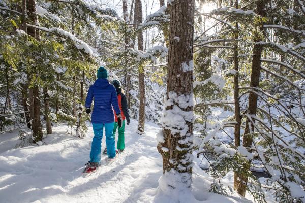 Two girls snowshoeing through a forest