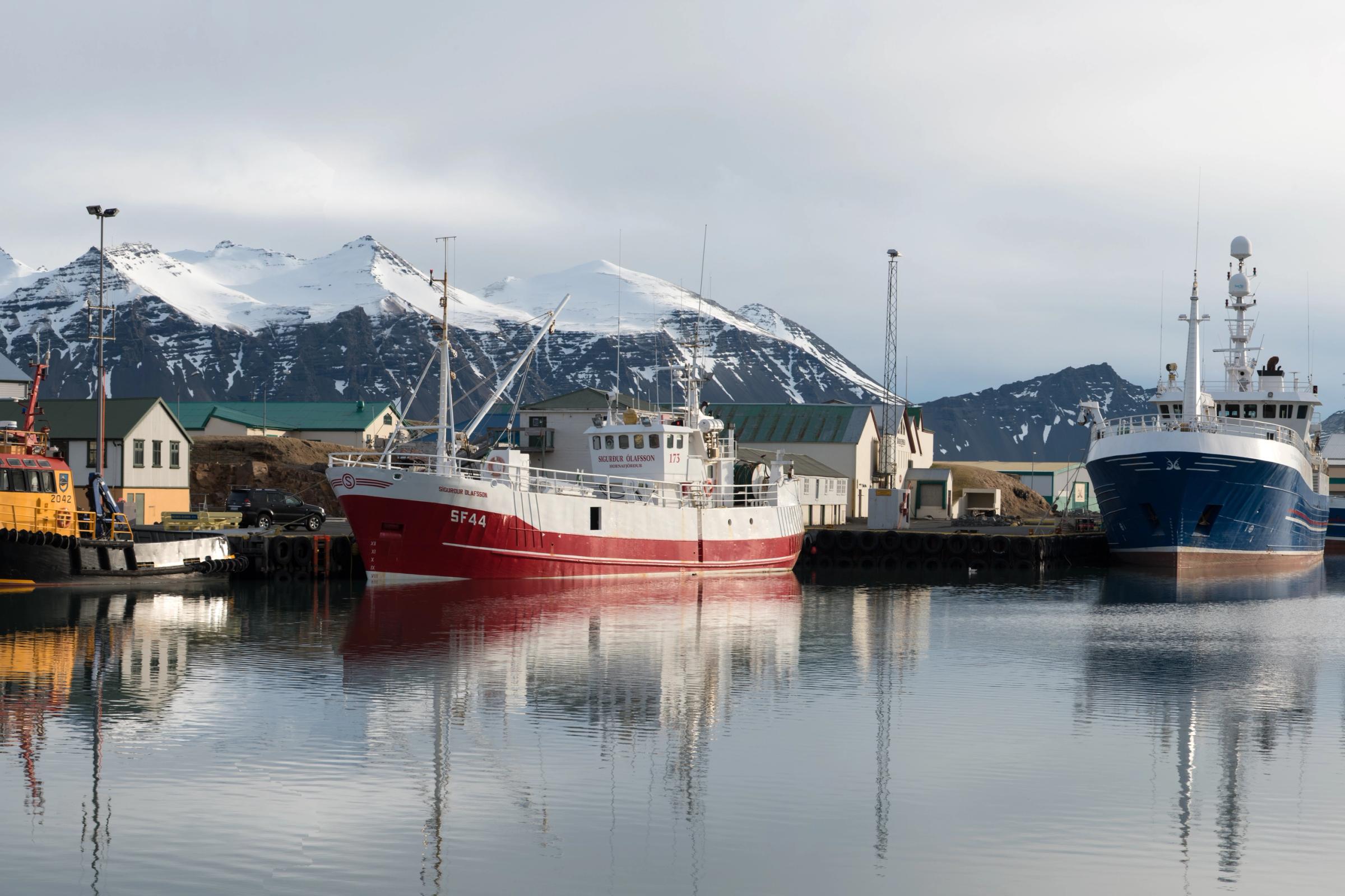 Barcos de pesca atracados en un puerto tranquilo, con montañas nevadas reflejándose en el agua.