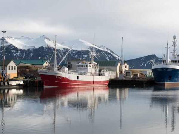 un grupo de barcos está amarrado en un puerto con montañas de fondo .