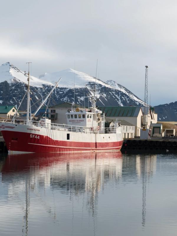 Fishing boats docked in a harbor with snow-capped mountains and reflections in the water.