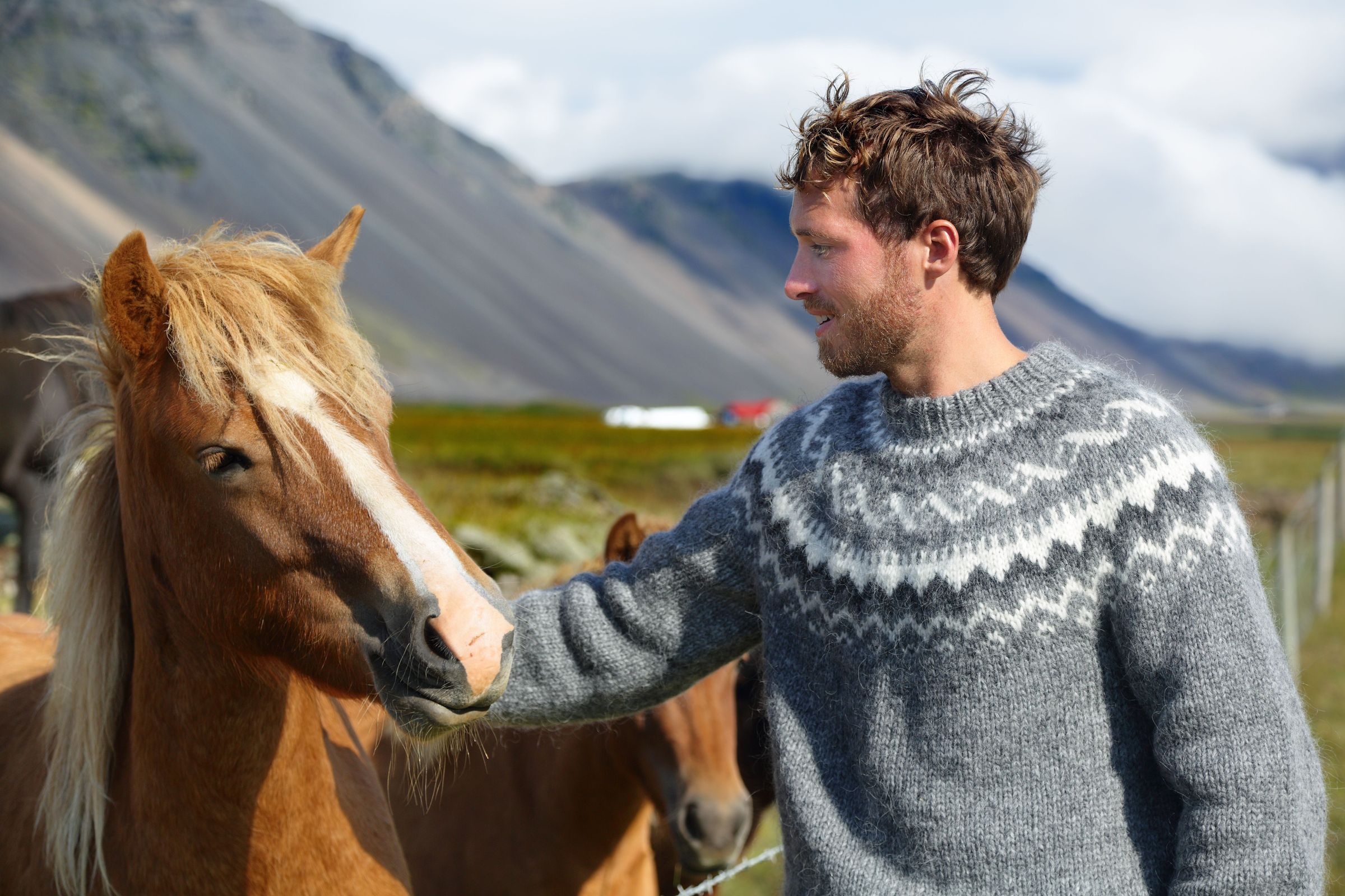 Choosing a local car rental in Iceland bolsters the local economy. Local car rental in Iceland, economic support