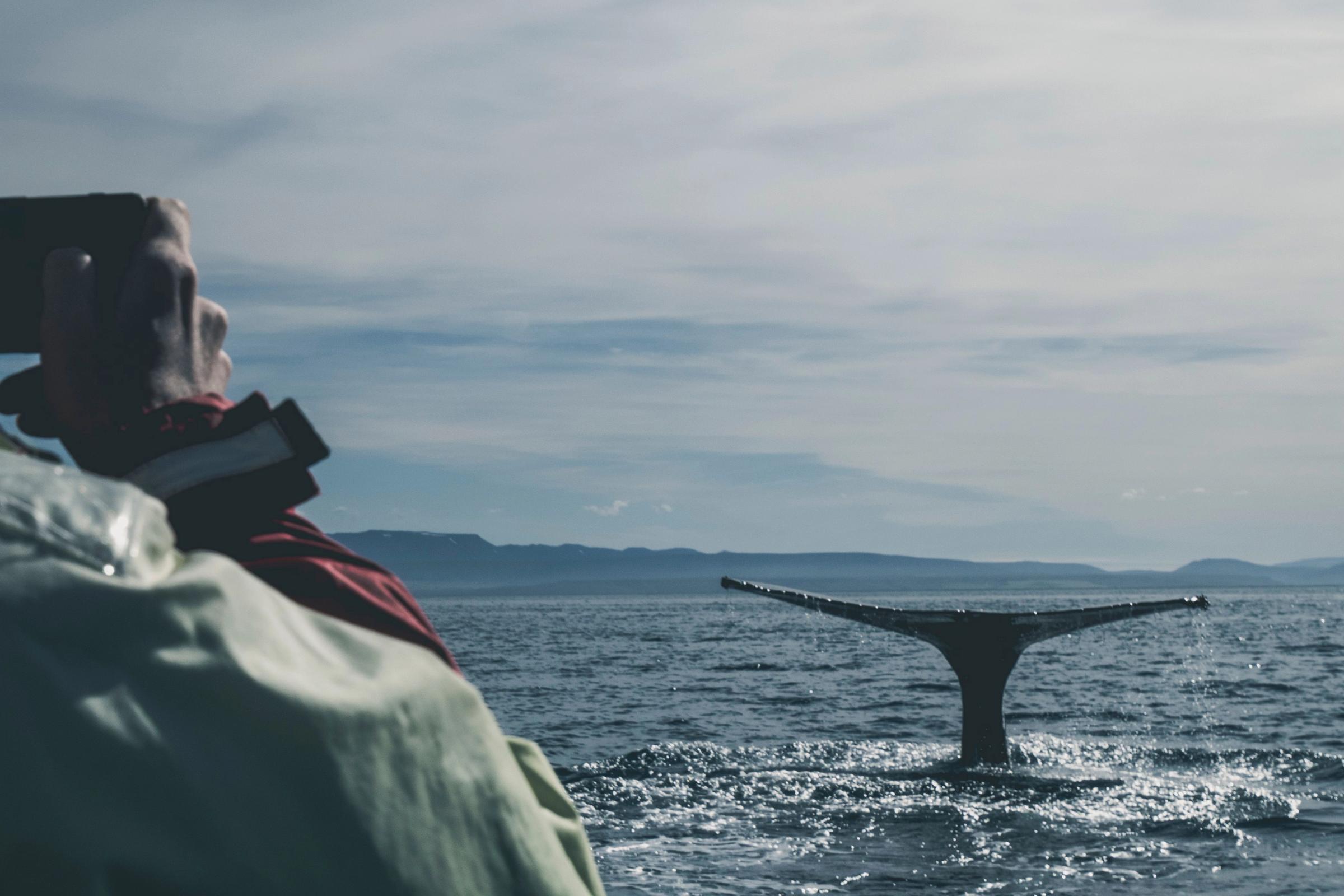 a person holding a phone while taking a picture of the tail of a whale in the sea