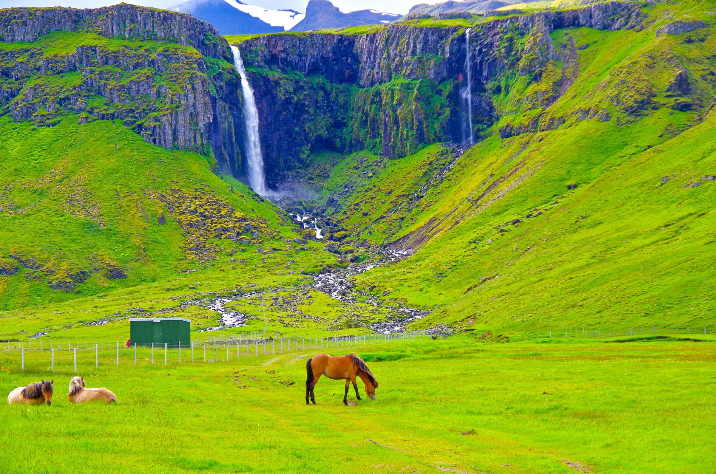 a horse is grazing in a field with a waterfall in the background .