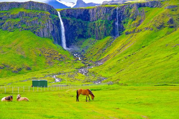 a horse is grazing in a field with a waterfall in the background .