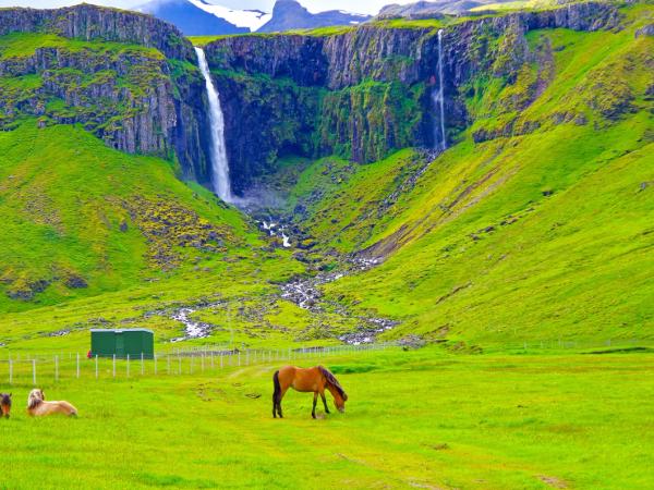 Grundarfoss Waterfall with horses around and surrounded by green