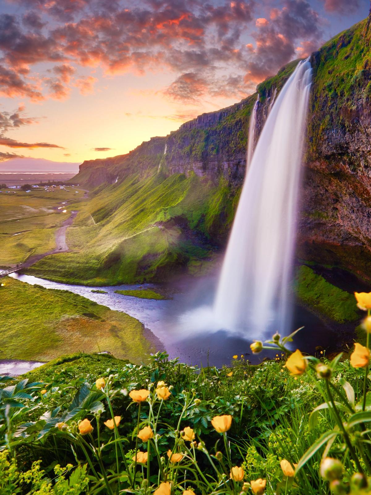 a waterfall in the middle of a field with flowers in the foreground .