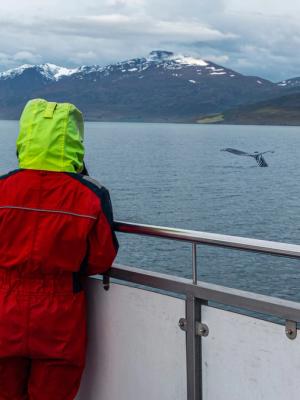 two people are standing on a boat looking at a humpback whale in the ocean .