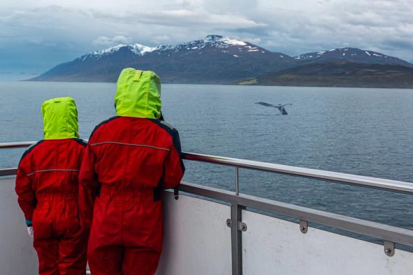 Two people in red suits and green hoods watch a whale's tail from a boat with snowy mountains in the distance.