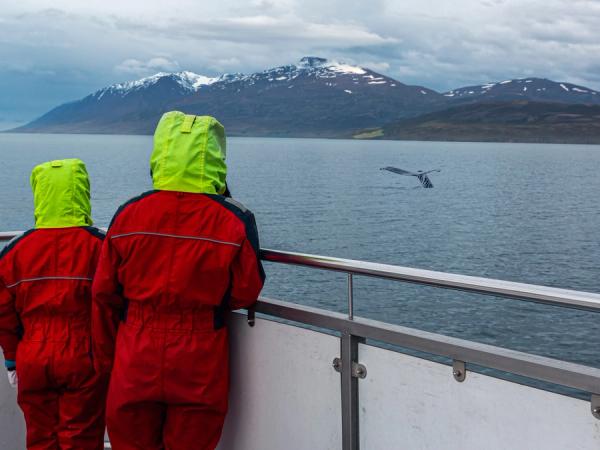 two people are standing on a boat looking at a humpback whale in the ocean .