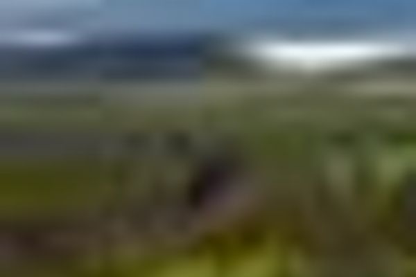 Speed limit in Iceland