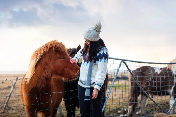 a woman is petting a brown pony behind a fence .