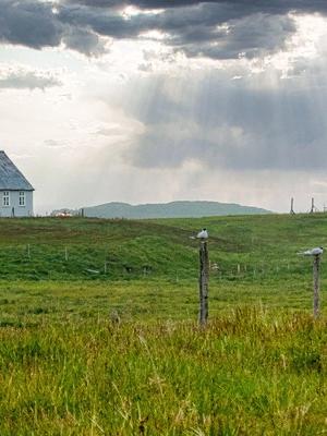 Houses and church in Flatey Island