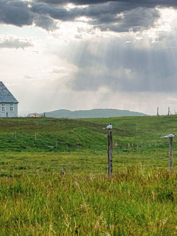 Casas y una iglesia en la Isla de Flatey