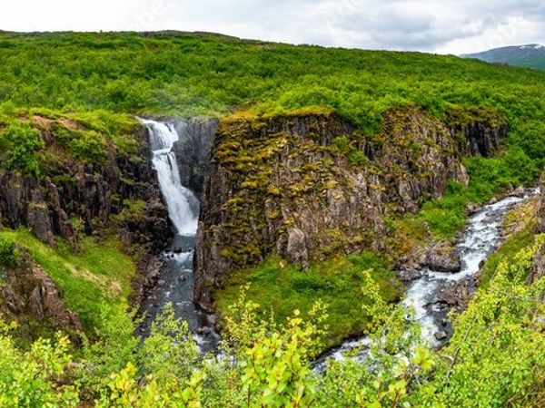 Fardagafoss Waterfall surrounded by greenery