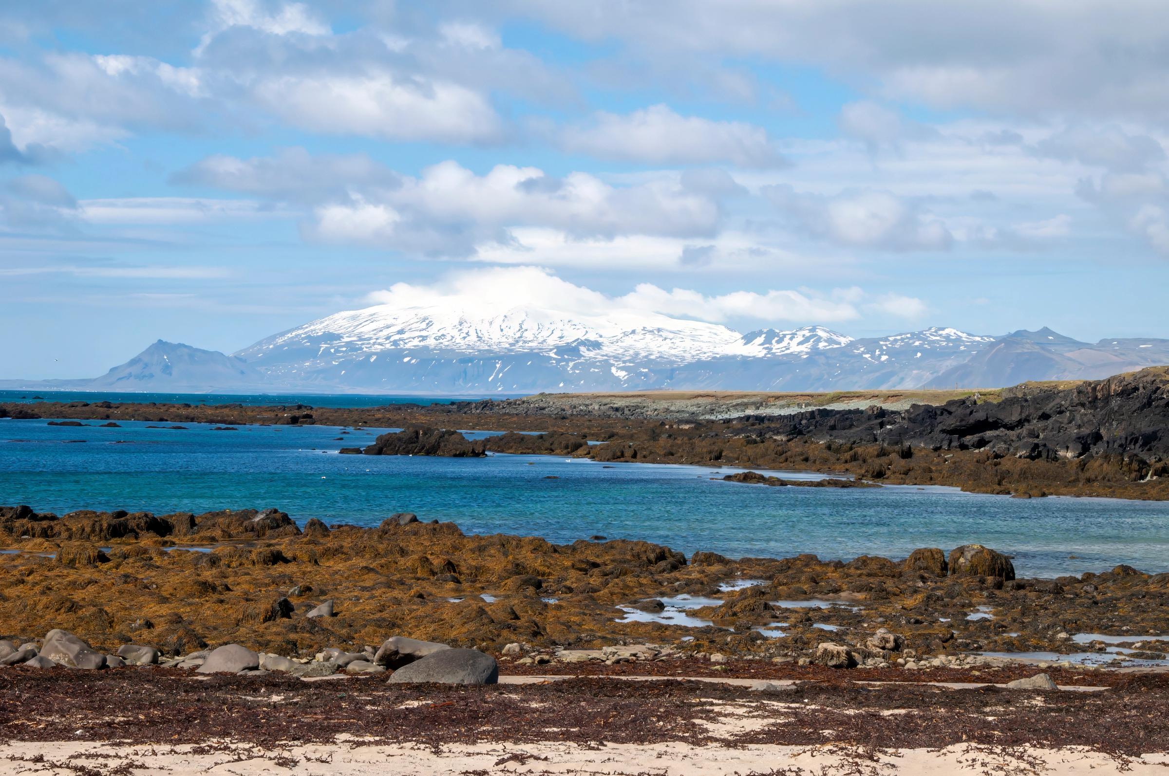 A rugged bay with dark rocks and brown seaweed leading to blue-green water and snow-capped mountains under a cloudy sky.