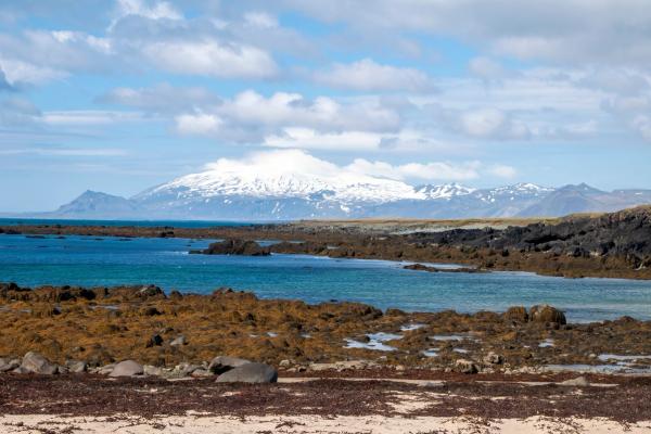 Una bahía accidentada con rocas oscuras y algas marrones que conducen a aguas azul-verdosas y montañas nevadas bajo un cielo nublado.