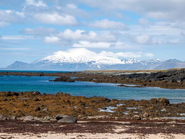 Playa de Ytri Tunga en un día soleado con una montaña nevada al fondo