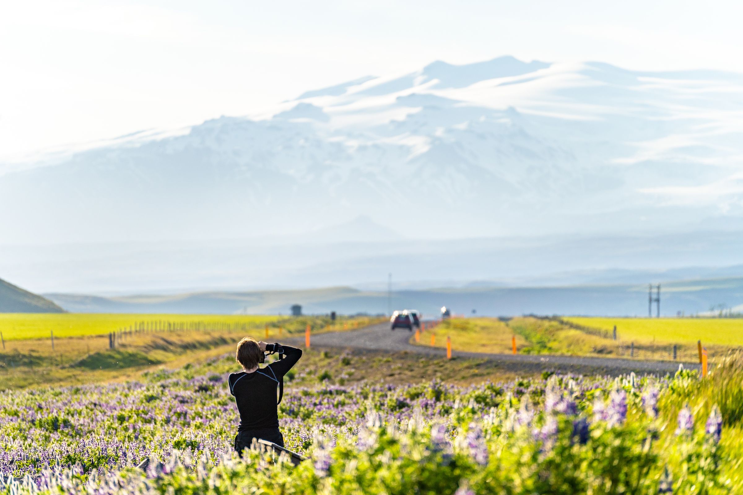 una persona en un campo de flores junto a una carretera haciendo fotos a una montan