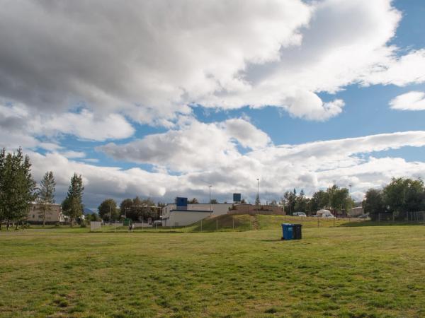 un amplio campo de hierba con un bote de basura azul en el medio bajo un cielo nublado.
