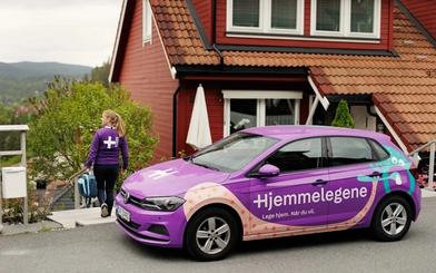 Hjemmelegene