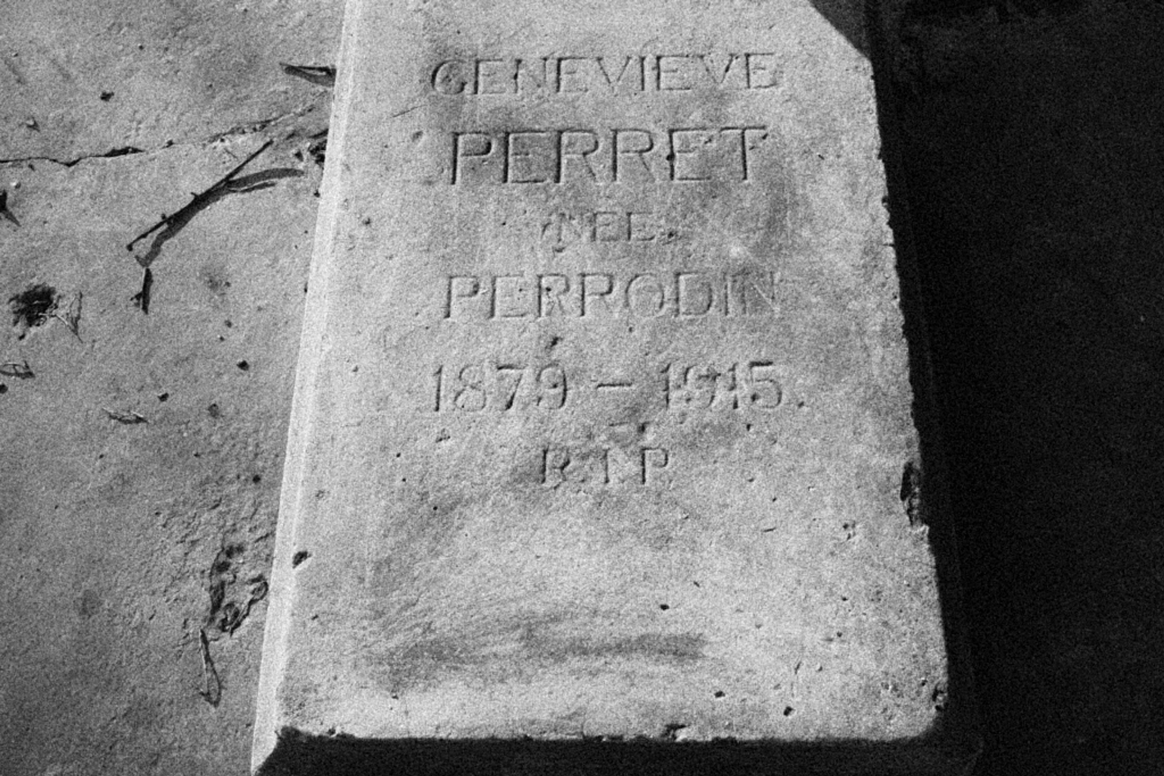 Druzhkivka French cemetery