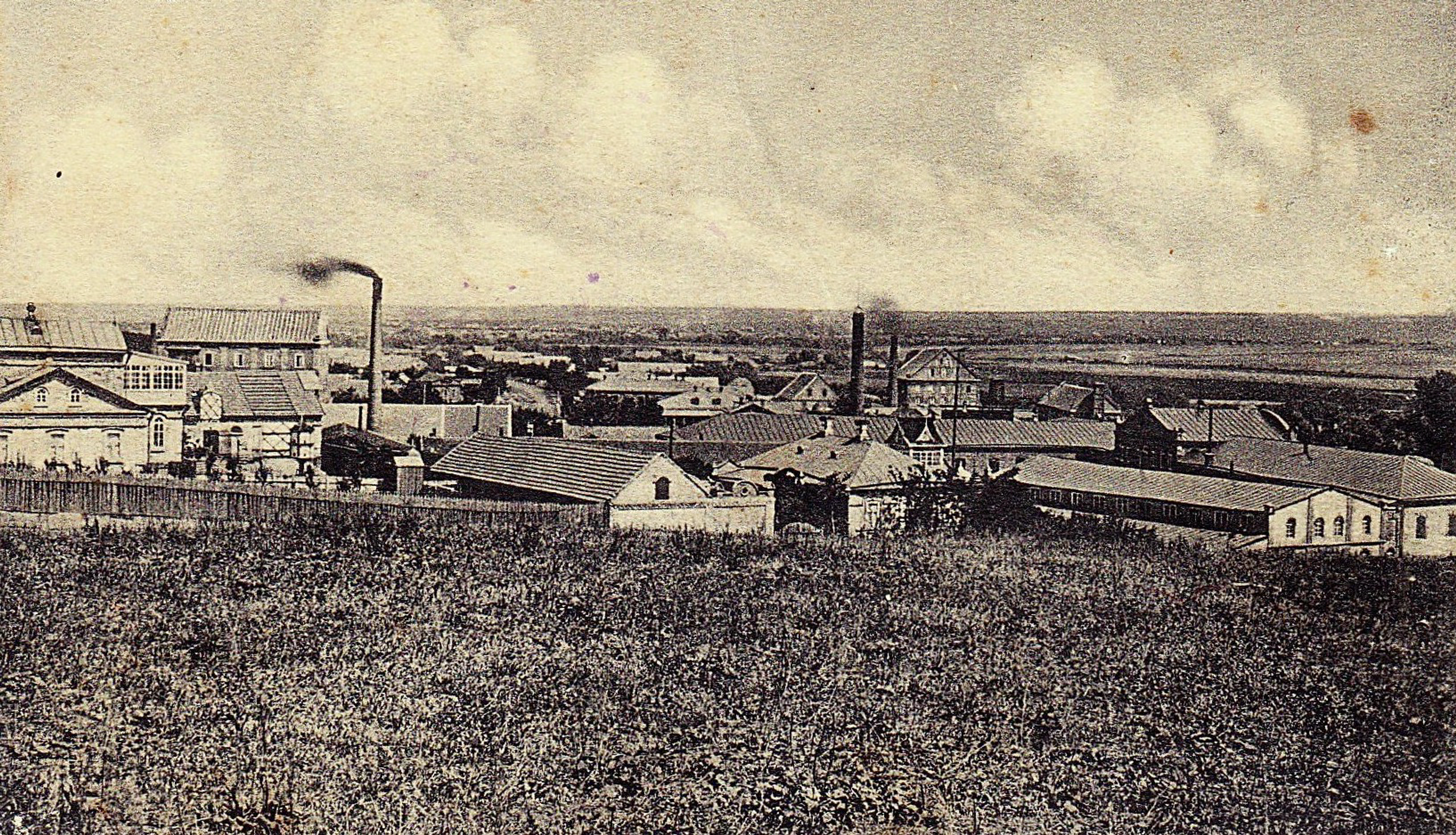 Donetsk region's New York panoramic picture of field and menonite settlement
