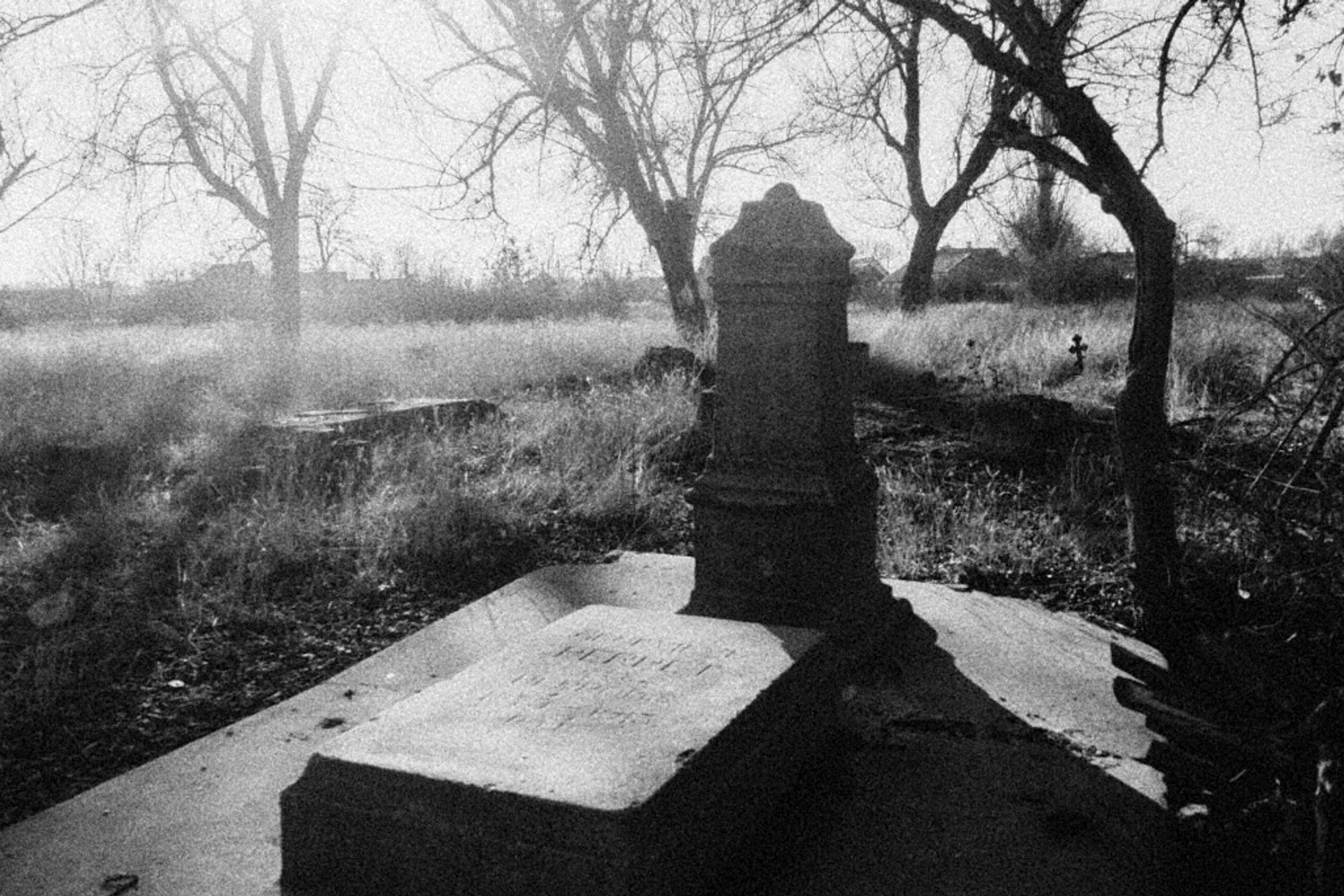 Druzhkivka French cemetery
