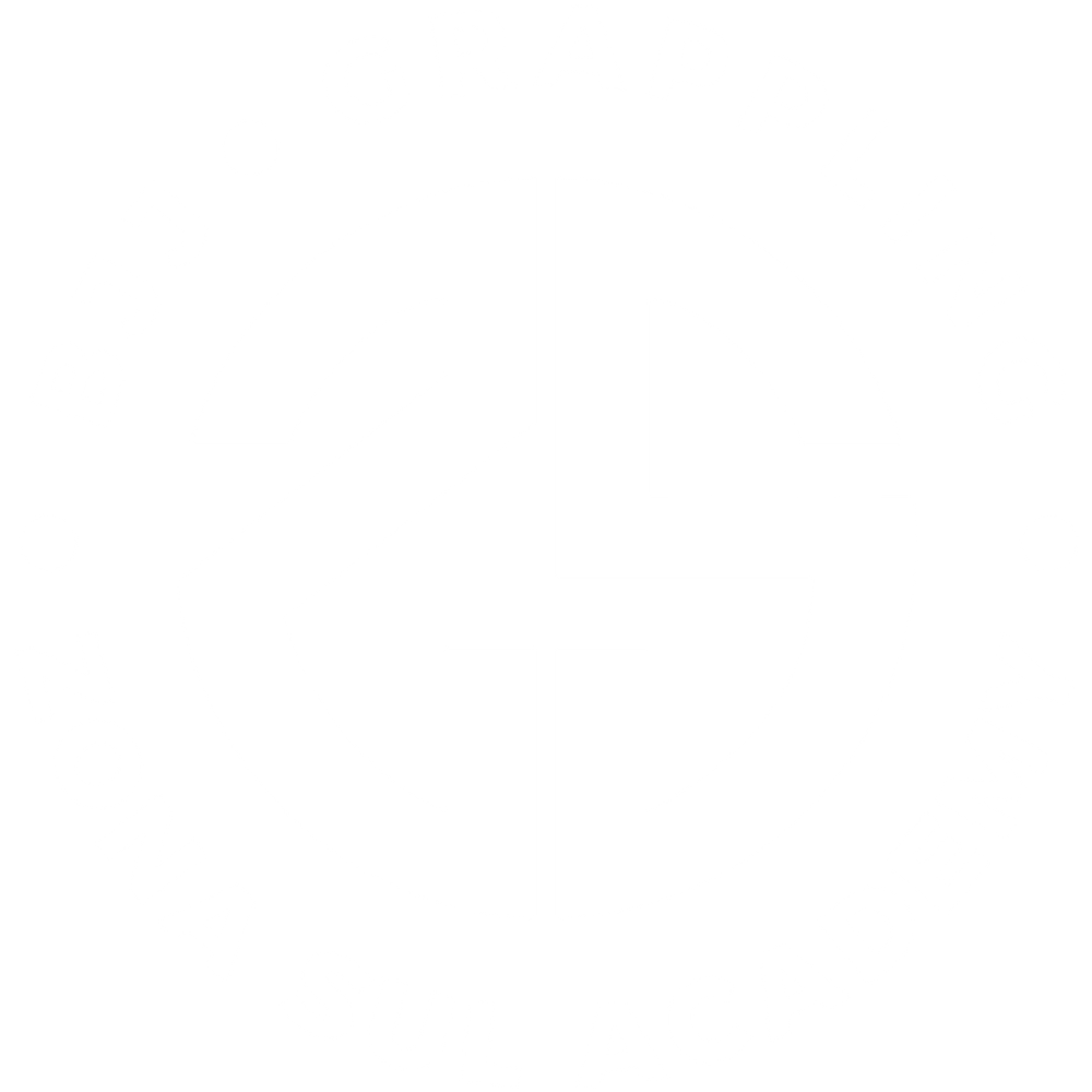 Zona Sul Academy