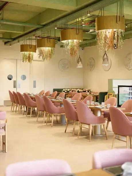 House of Makeba Gandhi Nagar