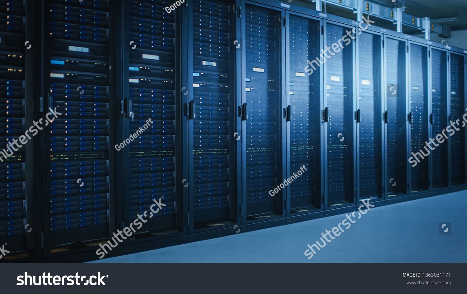 Server Hosting