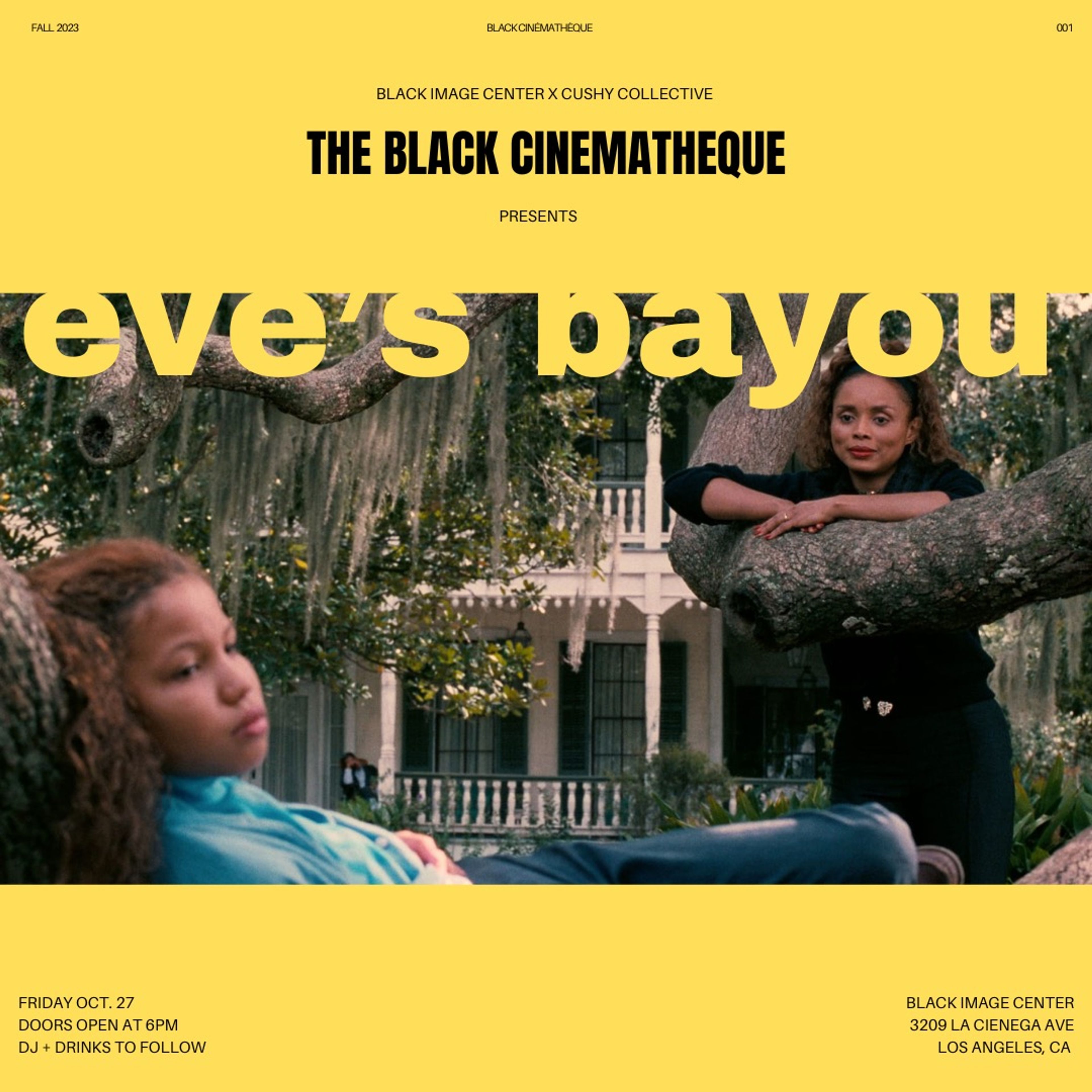 eve's bayou flyer